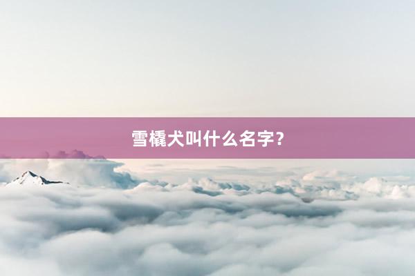 雪橇犬叫什么名字？