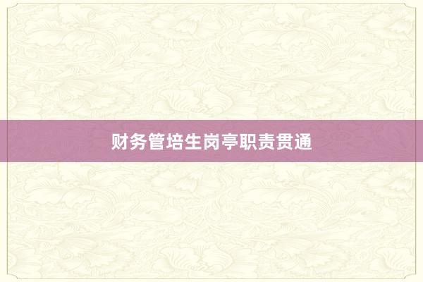 财务管培生岗亭职责贯通