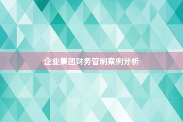 企业集团财务管制案例分析