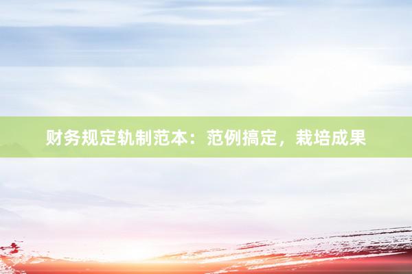 财务规定轨制范本：范例搞定，栽培成果
